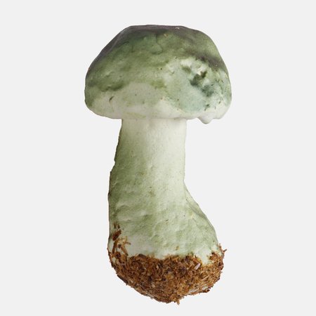 Mushrooms x 8 pcs.
