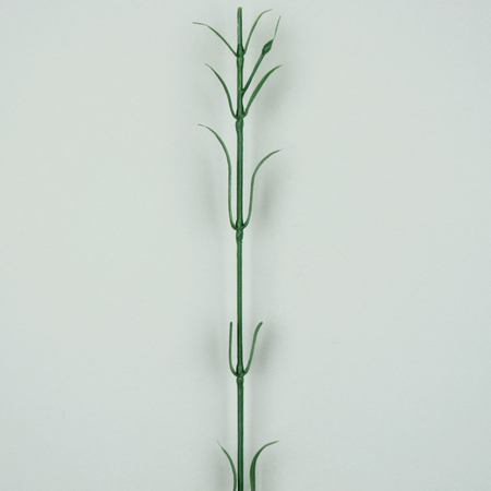 Carnation stem