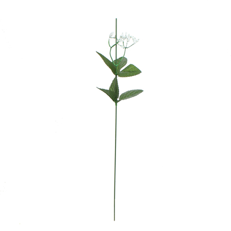 Rose stem with gypsophila