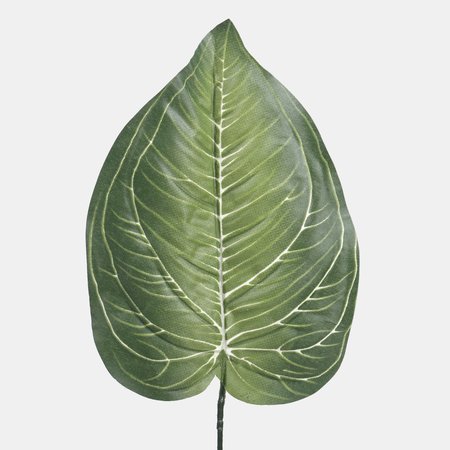 Host leaf