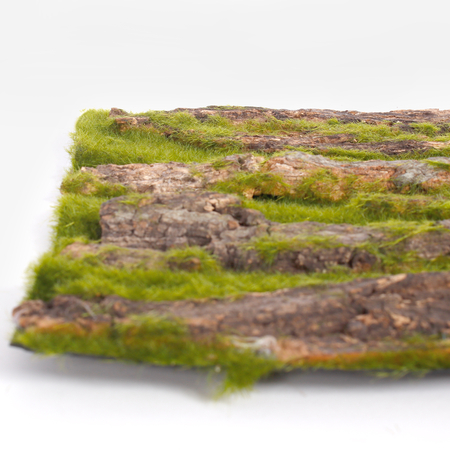 Moss panel with bark