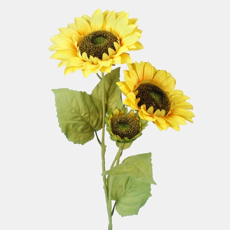Sunflower x 3