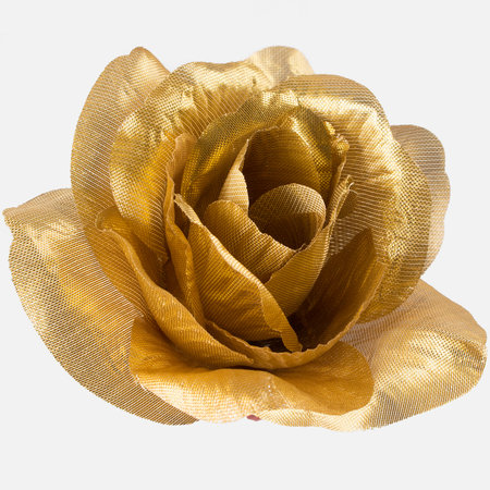 Shiny rose