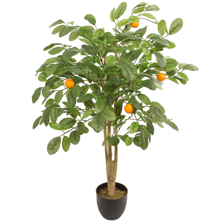 Апельсиновое дерево 1,20 м