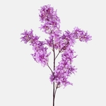 Lilac (L262-02)