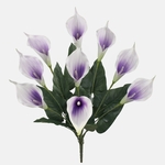 Lilac/Cream (QA315-05)