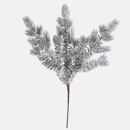 Snow-covered spruce