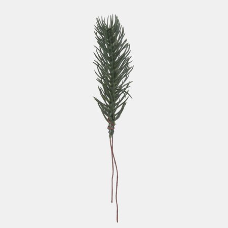 Spruce twig