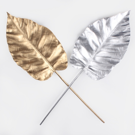 Metallic hosta leaf
