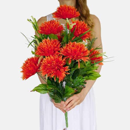 Chrysanthemum x 18