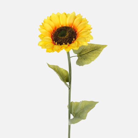 Sunflower XXL