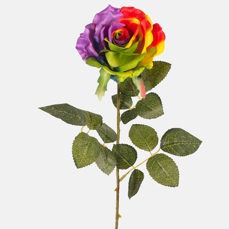 Rainbow rose (satin)