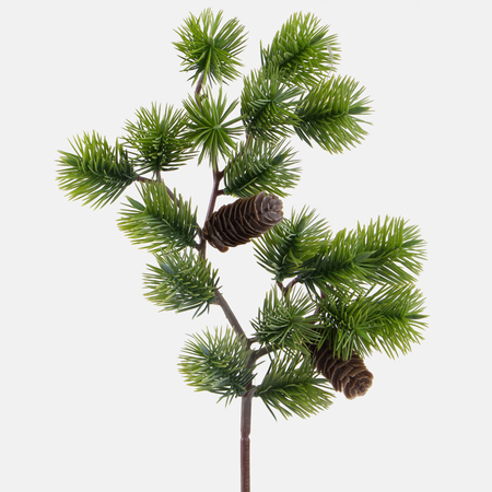 Spruce twig with cones