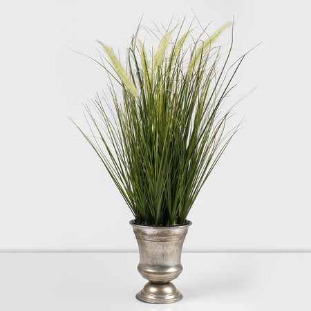 Blooming potted grass 0.61 m