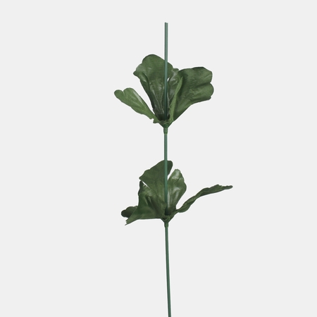 Single chrysanthemum stem with leaves