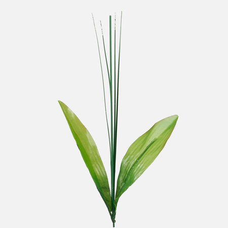 Daffodil stem with grass