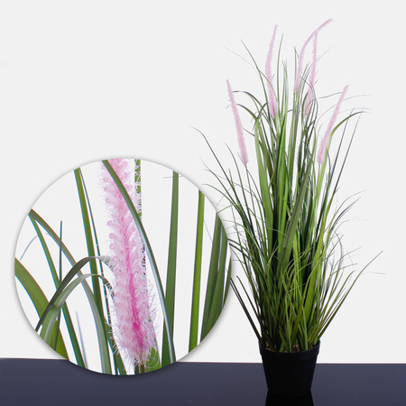 Blooming potted grass 0.91 m