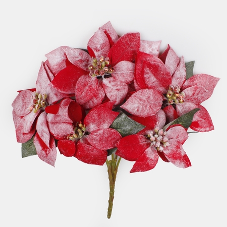 Frosted poinsettia bouquet x 5