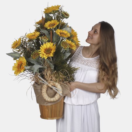 Sunflower composition