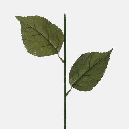 Hydrangea stem