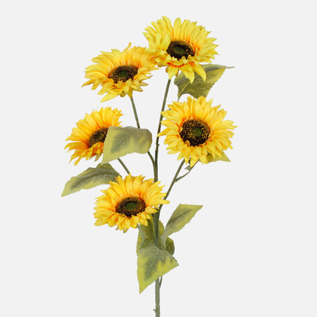 Sunflower x 5