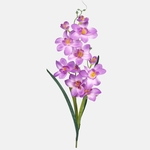Lilac (G284-05)