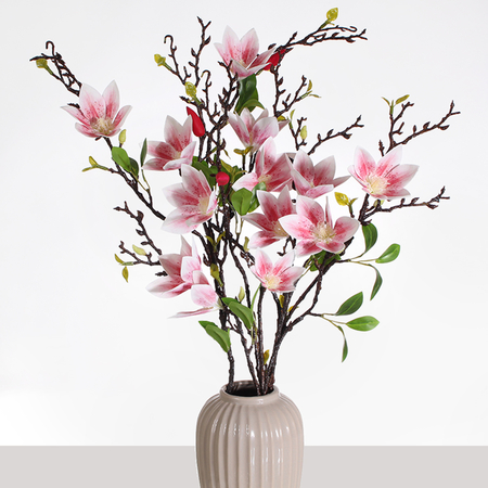 Magnolia x 4