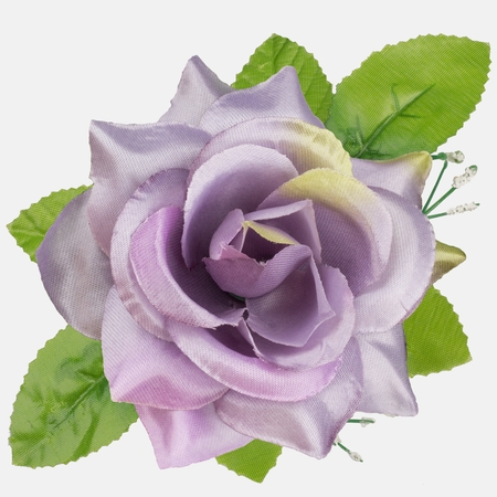 Satin rose with leaves