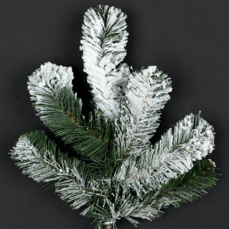 Pine twig, snowy