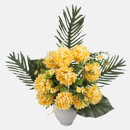 Chrysanthemum x 10