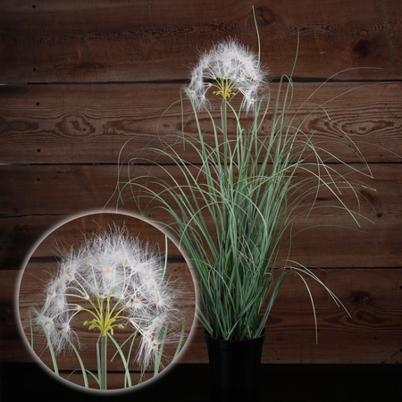 Potted grass with dandelions 0.65 m