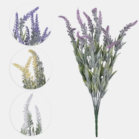 Lavender x 12