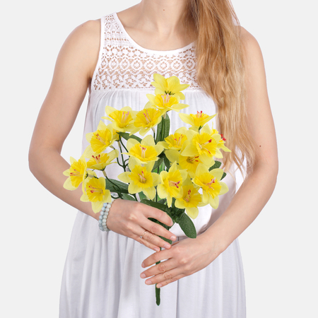 Daffodil x 7