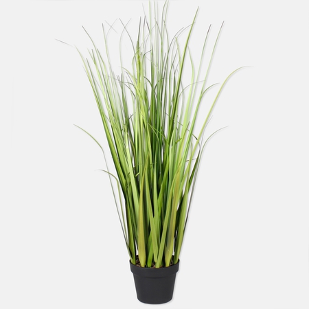 potted Grass 1.12 m
