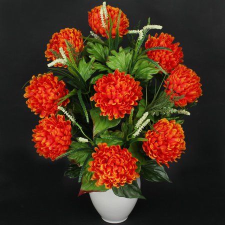 Chrysantemum x 18