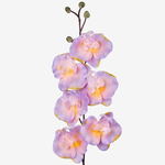 Yellow/Lilac (L728-16)