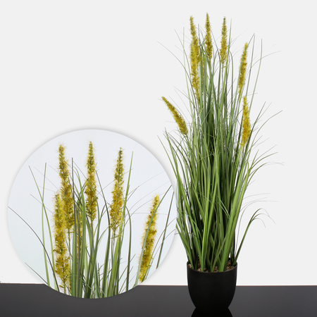 Blooming potted grass 0.91 m