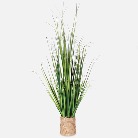 Potted grass 0.91 m