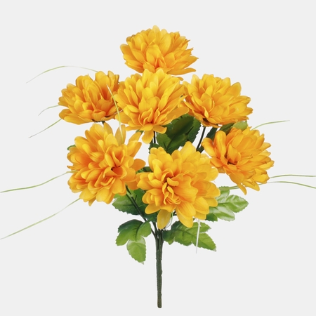 Chrysanthemum x 7