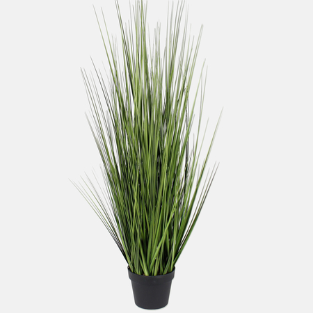 Potted grass 1.22 m