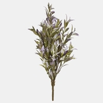 Lavender (QA341-02)