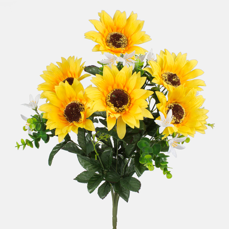 Sunflower x 6