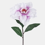 White/Lilac (L567-05)