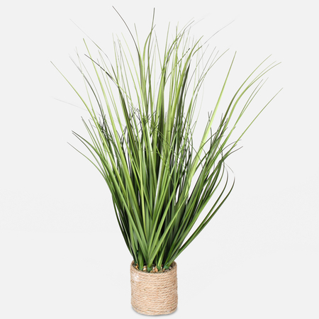 Potted grass 0.61 m