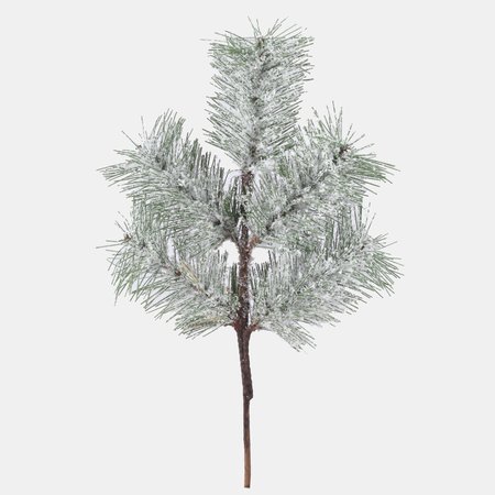 Snow-covered spruce twig, 30 cm