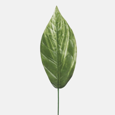 Croton single leaf
