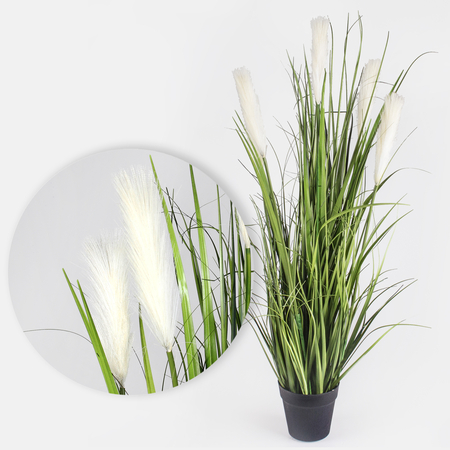 Blooming grass in a pot 0.91 m