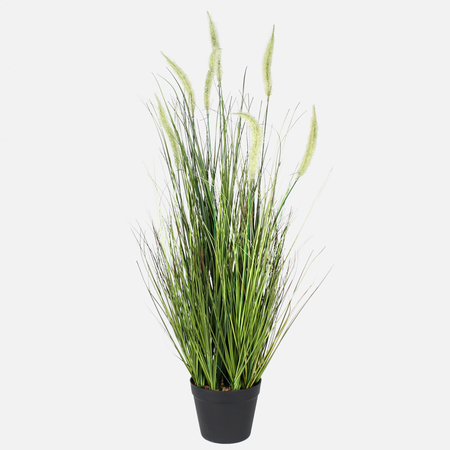 Potted grass 0.91 m